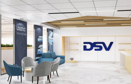 dsv