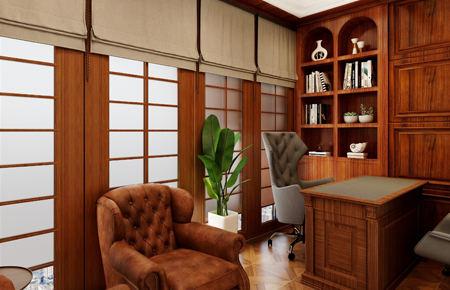 vikram solar biowonder