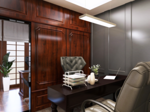 vikram solar biowonder